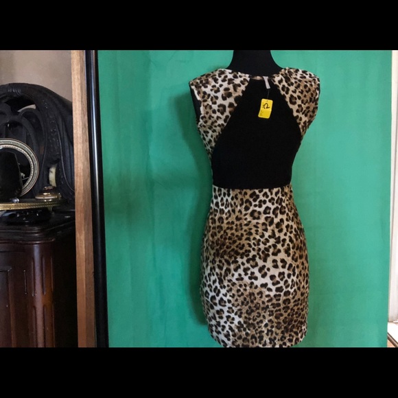 Animal print safari sheet & leopard slip on dress - Picture 5 of 12